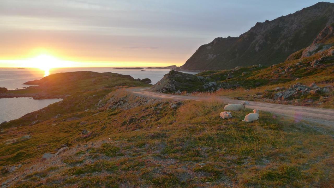 Nyksundrom, Nyksund Hotel Bagian luar foto
